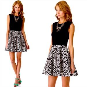 Diane Von Furstenberg Jeannie Dress NWT 10